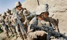 B体育体育中国官网-波黑战斯洛伐克，伊比舍维奇再领军的简单介绍