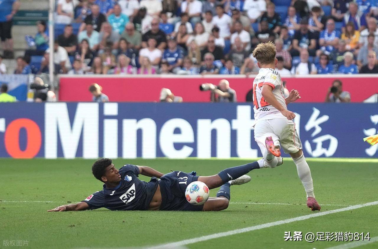 汉诺威主场战平霍芬海姆,德甲榜首争夺悬念依旧未解的简单介绍 汉诺威主场战平霍芬海姆,德甲榜首争夺悬念依旧未解的简单介绍